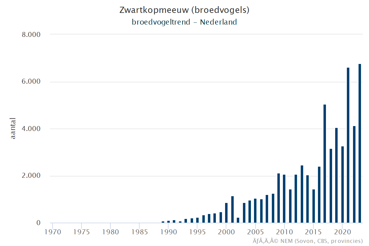 Resultaten voor de Zwartkopmeeuw (Ichthyaetus melanocephalus) voor de deelgebieden Krammer-Volkerak (A), Zoommeer (B) en Nederland (C) 